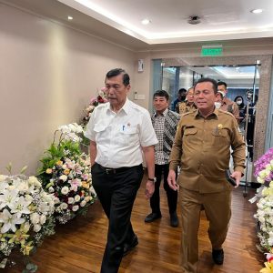 Gubernur Ansar Temui Luhut Binsar Bahas Penambahan Investasi KEK Galang Batang
