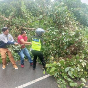 Warga Bersama Satlantas Polres Anambas Evakuasi Pohon Tumbang Di Jalan 