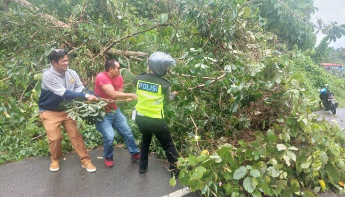 Warga Bersama Satlantas Polres Anambas Evakuasi Pohon Tumbang Di Jalan 