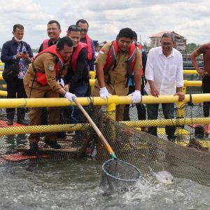Gubernur Ansar Panen 10 Ton Bawal Bintang Bersama Masyarakat Bintan