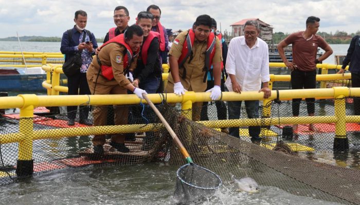 Gubernur Ansar Panen 10 Ton Bawal Bintang Bersama Masyarakat Bintan