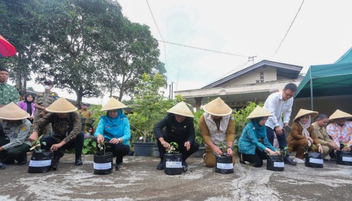 Gubernur Ansar Serahkan Bantuan Sapras Pertanian Poktan Di Bintan 