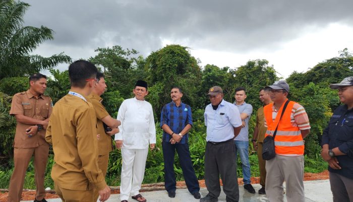 Pedestrian Jalan Bandara RHF Berhias Bunga Sakura, Tanjung dan Pohon Pinang