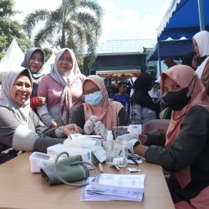 Dewi Ansar Hadiri Peringatan HKN ke-58 di Bintan, Berharap Kualitas Kesehatan Meningkat