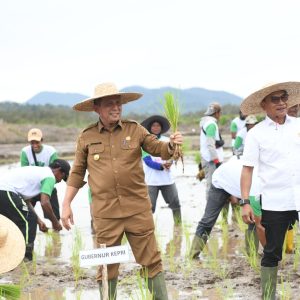 Jadikan Lingga Lumbung Pangan, Gubernur Ansar Tanam Padi Bersama Moeldoko