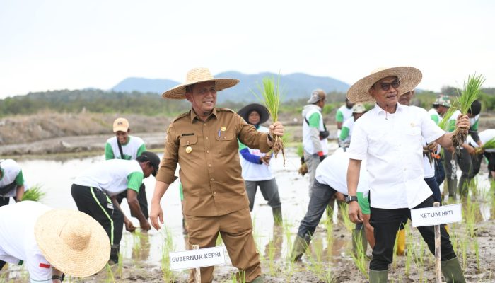 Jadikan Lingga Lumbung Pangan, Gubernur Ansar Tanam Padi Bersama Moeldoko