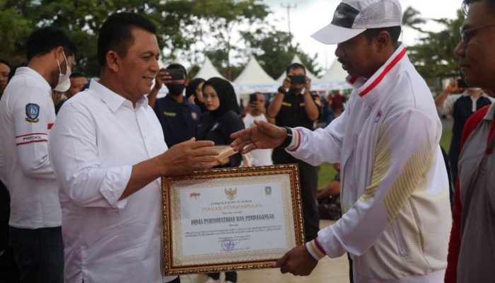 HKN ke-58, Gubernur Ansar Berikan  Penghargaan 7 Tenaga Kesehatan Teladan