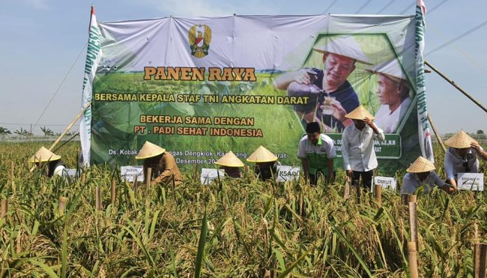 Jenderal Dudung Bersama Bupati dr Cellica Panen Padi di Rengasdengklok