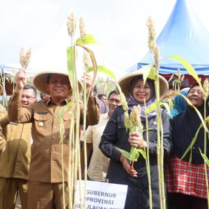 Gubernur Ansar Serahkan Mesin Pertanian dan Panen Sorgum di Toapaya Bintan