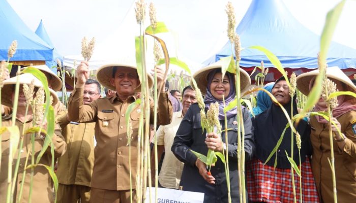 Gubernur Ansar Serahkan Mesin Pertanian dan Panen Sorgum di Toapaya Bintan