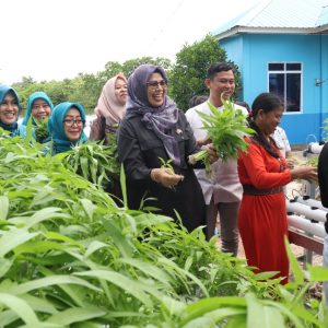 Dewi Ansar Bersama Warga Kampung Panglong Panen Sayuran Kangkung Hidroponik