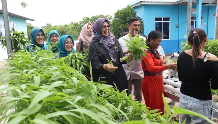 Dewi Ansar Bersama Warga Kampung Panglong Panen Sayuran Kangkung Hidroponik