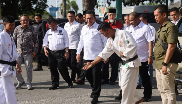 Gubernur Ansar Buka Kejuaraan Silat Walet Puti Cup se-Kepri di Karimun