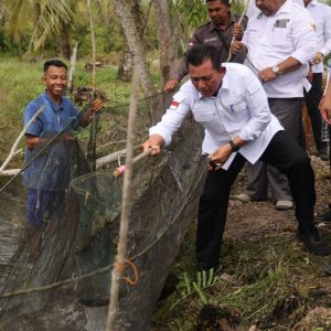 Gubernur Ansar Tanam Bibit Kelapa Genjah dan Panen Udang di Pulau Kundur