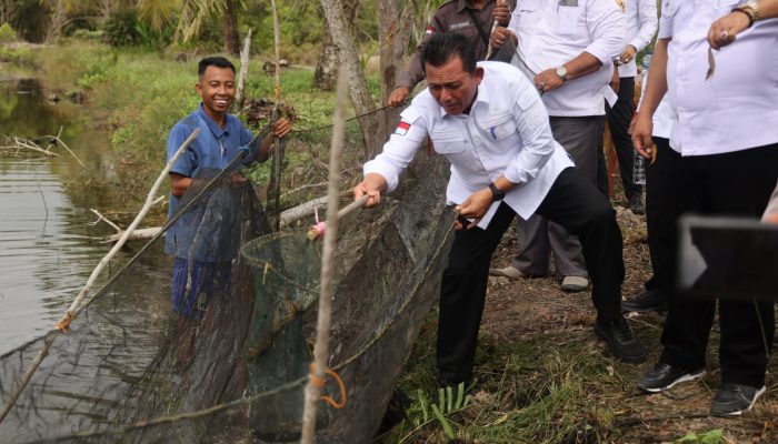 Gubernur Ansar Tanam Bibit Kelapa Genjah dan Panen Udang di Pulau Kundur