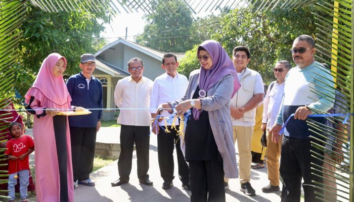Penghujung Tahun 2022, Gubernur Ansar Resmikan Jalan di Pulau Pangkil dan Mantang