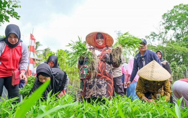 Jelang Natal, Pedagang Makanan Keluhkan Kenaikan Harga Sayur dan Garam