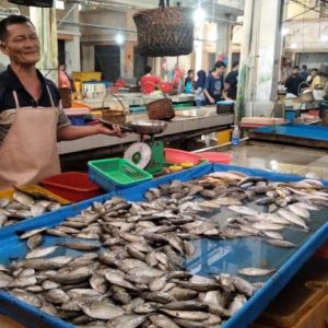 Cuaca Ekstrem, Harga Ikan Segar Melonjak Di Pasaran
