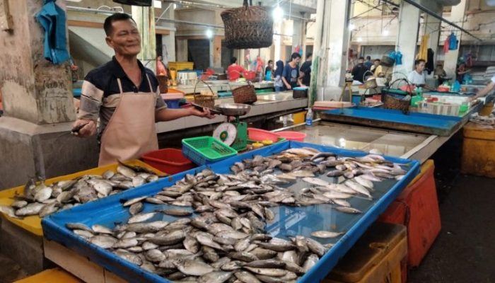 Cuaca Ekstrem, Harga Ikan Segar Melonjak Di Pasaran