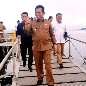 Ini Program Dan Kebijakan Pemprov Kepri Dipimpin Ansar-Marlin