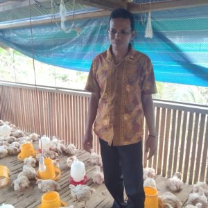 Program Ketahanan Pangan Desa Cemaga Selatan Jual Ayam Broiler Rp25 Ribu Per Kg