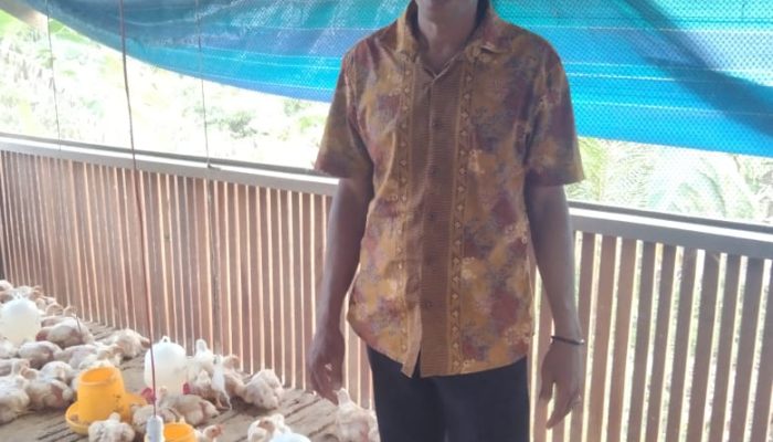 Program Ketahanan Pangan Desa Cemaga Selatan Jual Ayam Broiler Rp25 Ribu Per Kg