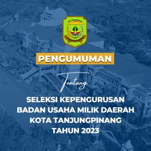 Pansel BUMD Tanjungpinang Buka Lowongan Direktur PT TMB