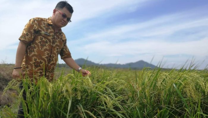 Menerka Penjabat Walikota Tanjungpinang Usulan Gubernur Ansar