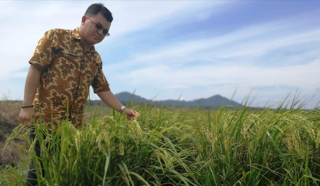 Menerka Penjabat Walikota Tanjungpinang Usulan Gubernur Ansar