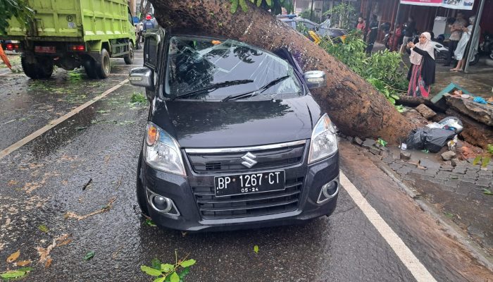 Hujan Disertai Angin, Pohon Tumbang Tertimpa Mobil di Jalan Engku Putri Tanjungpinang