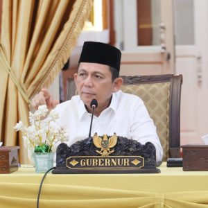 Gubernur Ansar Keluarkan SK Penetapkan Tarif Kapal RoRo Punggur – Jagoh