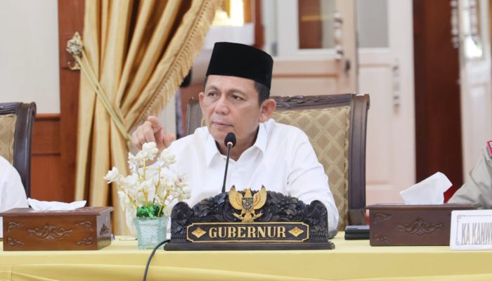 Gubernur Ansar Keluarkan SK Penetapkan Tarif Kapal RoRo Punggur – Jagoh