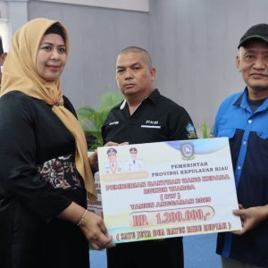 Gubernur Ansar Serahkan Bantuan Insentif  RT, RW se-Kabupaten Bintan