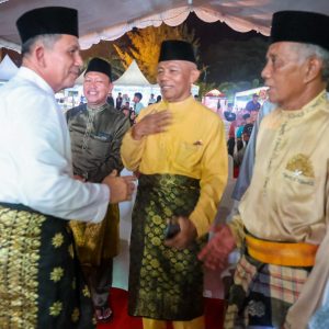 Gubernur Ansar Ajak Jadikan Hari Marwah Kepri Suatu Tekad Satukan Hati Bangun Kepri