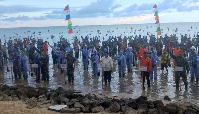 TNI Bersama Masyarakat Tanam Ribuan Mangrove Di Pantai Natuna 