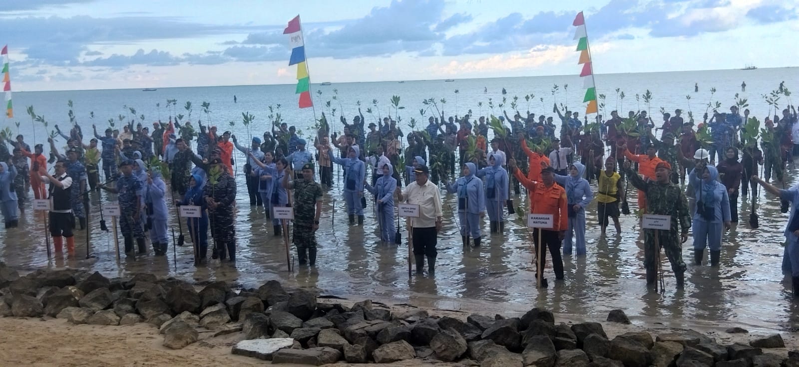 TNI Bersama Masyarakat Tanam Ribuan Mangrove Di Pantai Natuna 