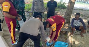 3 Buah Paket Diduga Kokain Ditemukan di Pulau Peneson Desa Air Biru Jemaja
