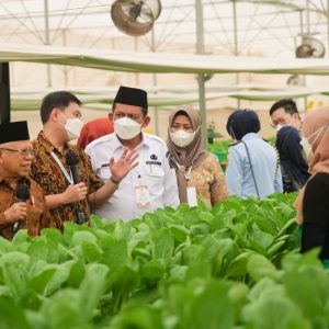 Wakil Presiden RI dan Gubernur Kepri Meninjau Pusat Pertanian Modern di Batam