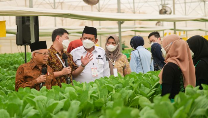 Wakil Presiden RI dan Gubernur Kepri Meninjau Pusat Pertanian Modern di Batam