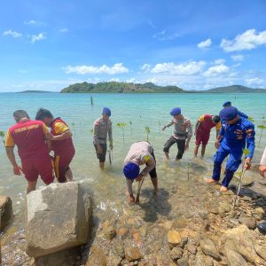 Sambut HUT Bhayangkara Ke-77, Polres Kepulauan Anambas Tanam Mangrove 