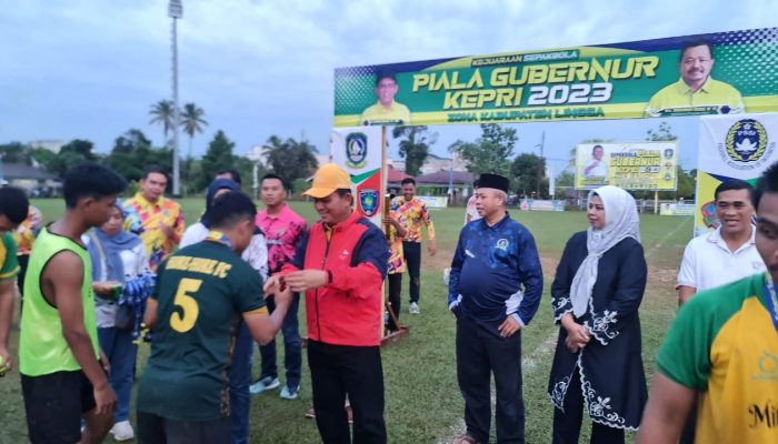 Gubernur Ansar: Perbanyak Turnamen  Sebagai Ajang Mencari Bakat Olahraga di Daerah