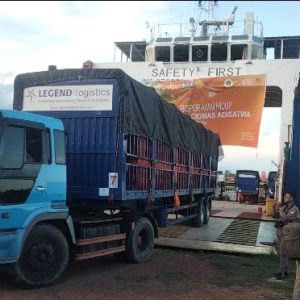 Provinsi Kepri Ekspor Perdana Ayam Broiler 36 Ribu Ekor Ke Singapura