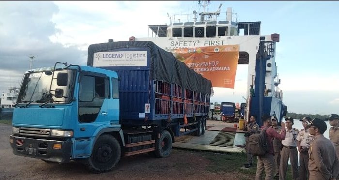 Provinsi Kepri Ekspor Perdana Ayam Broiler 36 Ribu Ekor Ke Singapura
