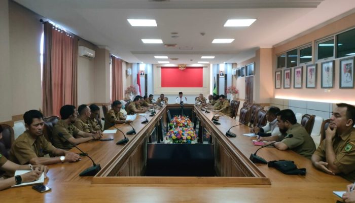 Boy Wijarnarko : Pemkab Natuna Komitmen Tingkatkan Penggunaan Produk Dalam Negeri