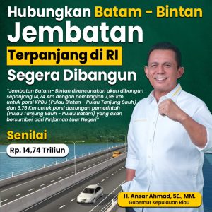 Tim AIIB Tinjau Lokasi Yang Akan Dibangun Jembatan Babin dari Sisi Kabil Batam hingga Tanjung Permai Bintan
