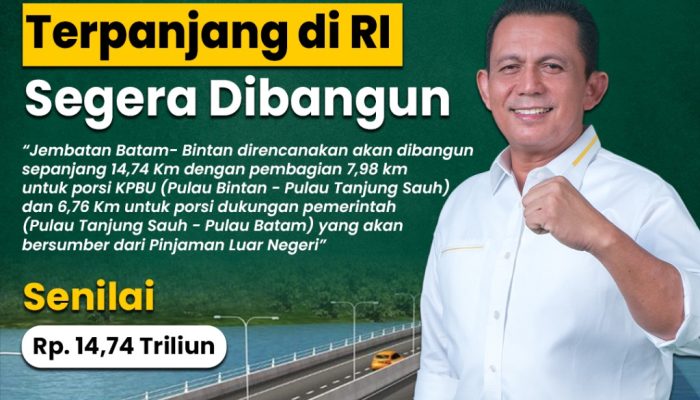 Tim AIIB Tinjau Lokasi Yang Akan Dibangun Jembatan Babin dari Sisi Kabil Batam hingga Tanjung Permai Bintan