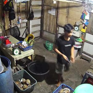 Maling Gasak Uang Infak Warung Terekam CCTV