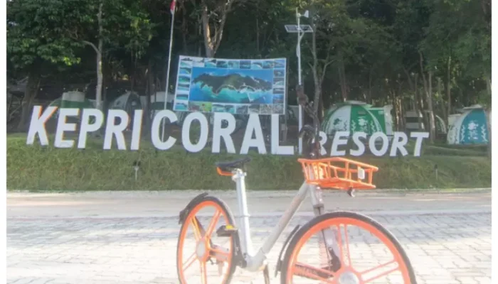 Nikmati Keindahan Panorama Laut Kepri Di Coral Bahari Batam
