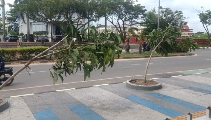 Kericuhan Aksi Massa Di Batam Center Merusak Tanaman di Pedestarian