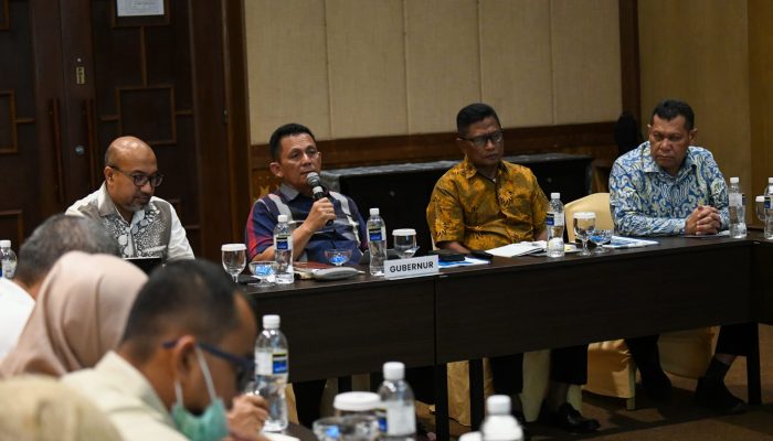 Chartered Flight Wisman, Gubernur Ansar : Pencabutan Status Bandara Internasional RHF Sangat Disayangkan